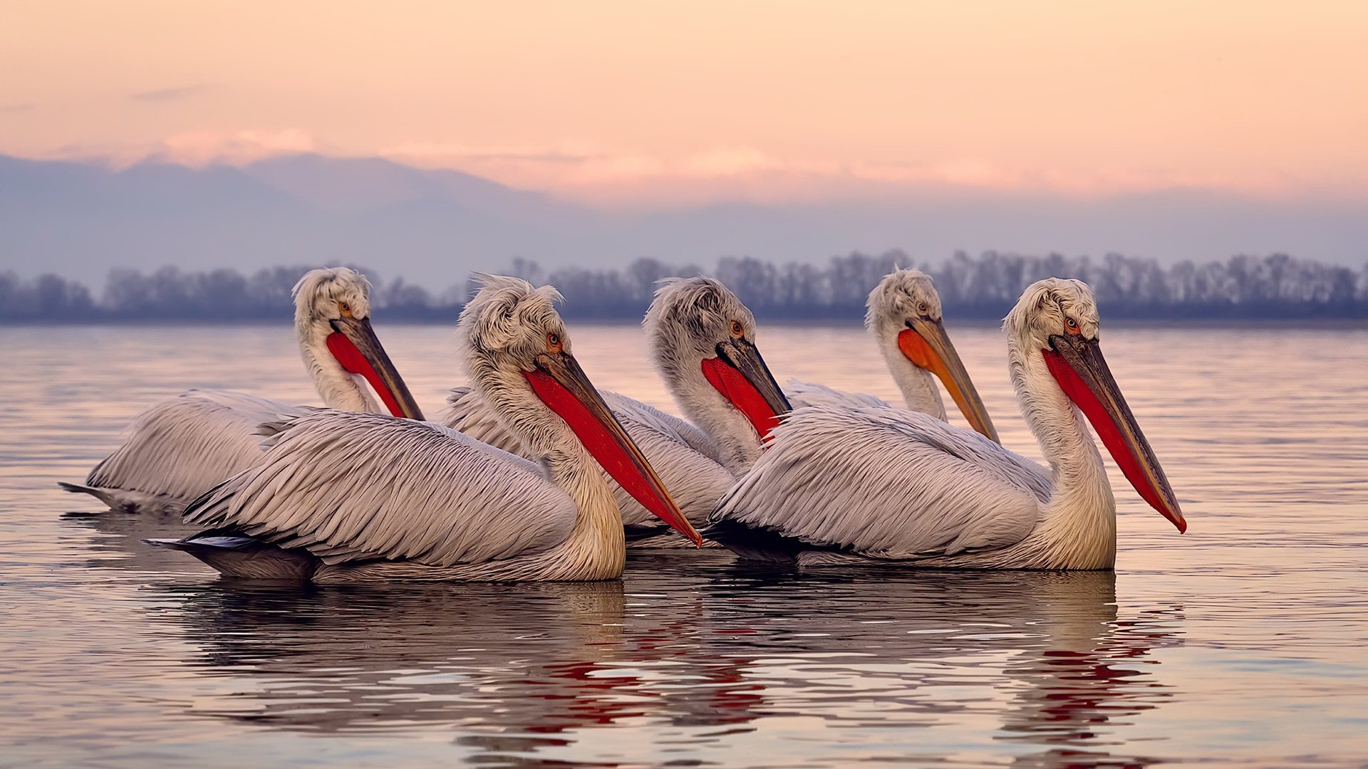 爱游戏体育网页版-巴西队美洲杯失利,主帅蒂特宣布辞职,巴西队美洲杯失利,主帅蒂特宣布辞职了吗