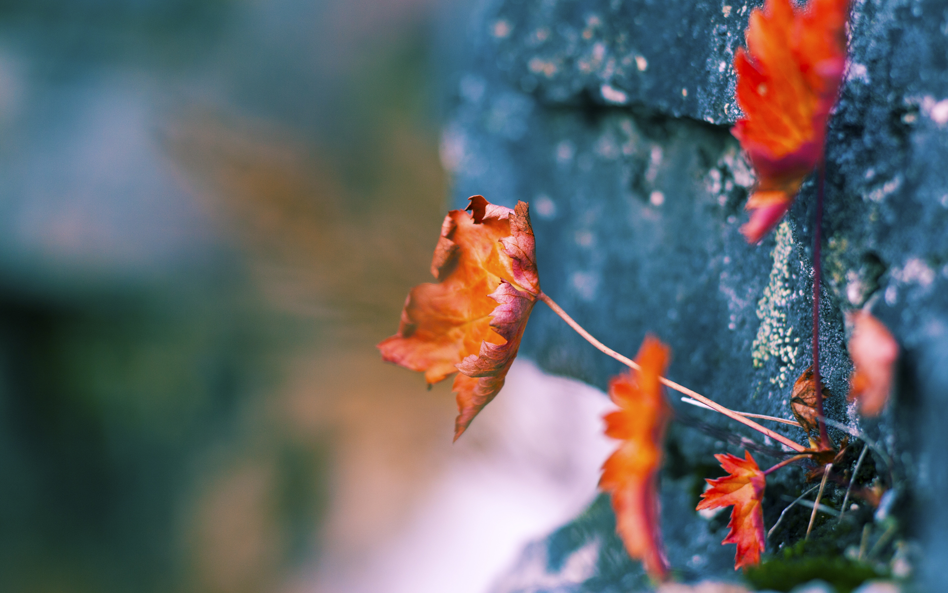 AYX官网-_火箭队士气高涨，逐步逼近季后赛_，2021火箭队最新