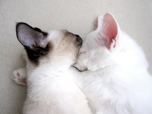 爱游戏官方-“极端天气下的英雄：车手怎样战胜自然的疯狂考验”，极端天气对车辆应急预案方案