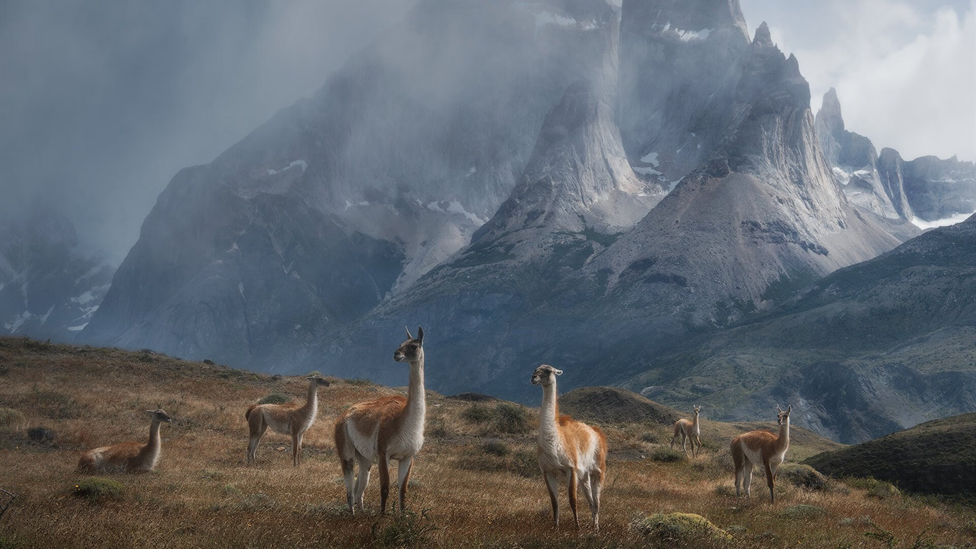 AYX官网-卫冕冠军的欧冠之路:他们还能保持冠军光环吗?,欧冠卫冕有多难