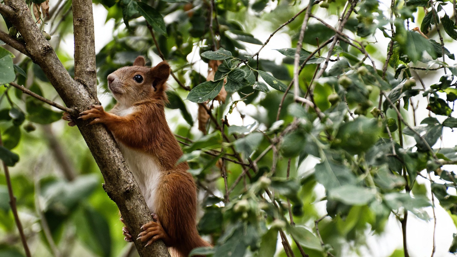 爱游戏官方网站-史上“最默契”的团队合作瞬间,团队配合已到极致,团队配合默契的说说