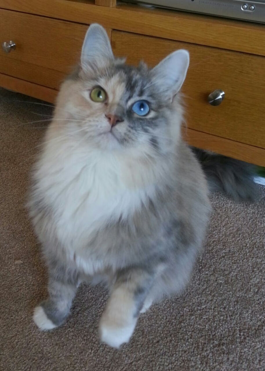 爱游戏电竞官方网站-季风体验：在多变风向中考验运动员适应能力