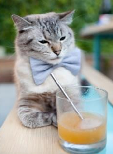 爱游戏在线娱乐官网-年度行业深度报告：数据解码电竞市场新风向，电竞行业数据统计